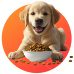 Ração seca para Cães