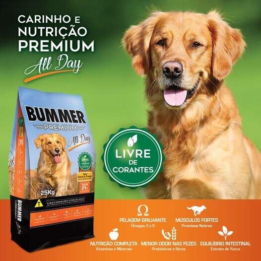 Ração Bummer All Day Premium para Cães Carne e Frango - 15kg - Imagem 4