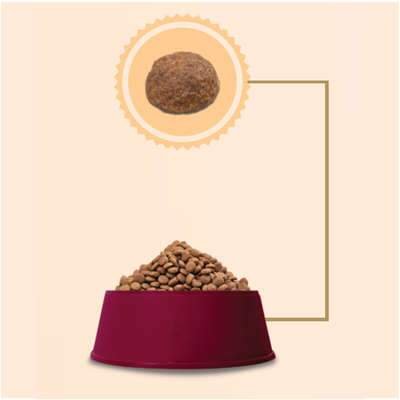 Ração GranPlus Choice Frango e Carne para Cães Adultos 15 kg - Imagem 2